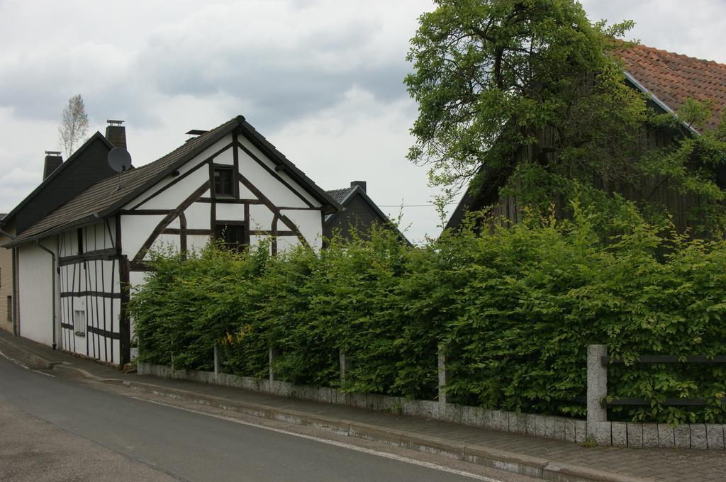 Authentiek Eifelhuis Villa Hecken Værelse billede